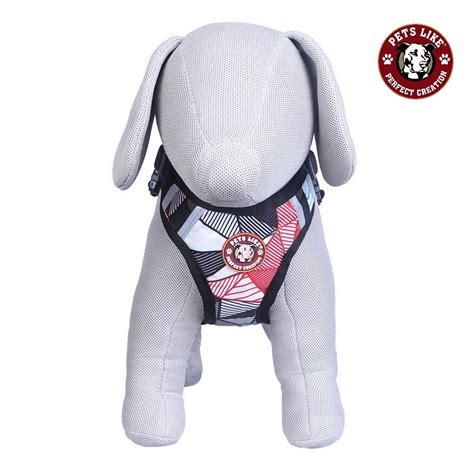 Dog Double Padded Harness at Rs 1600/piece | Dog Harness in Bengaluru ...