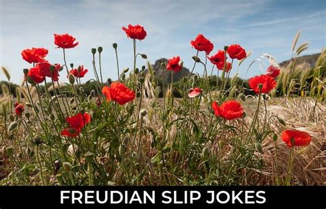 81+ Freudian Slip Jokes And Funny Puns - JokoJokes