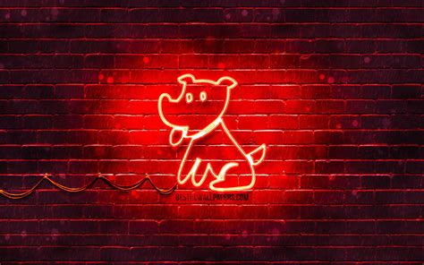 Neon Dog Wallpapers - Top Free Neon Dog Backgrounds - WallpaperAccess