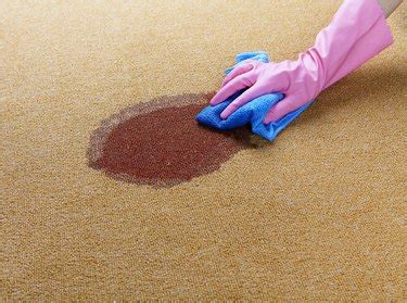 How to Remove a Carpet Stain With Club Soda | Hunker