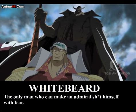 Don't mess with Whitebeard by jack916 on DeviantArt