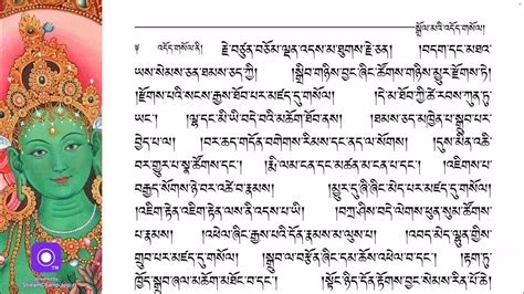 21 Praises To Tara (Daily Practice) Dolma 21|Tibetan Prayer|སྒྲོལ་མ་ཉེར་ཅིག་བསྟོད་པ།/Buddhist ...