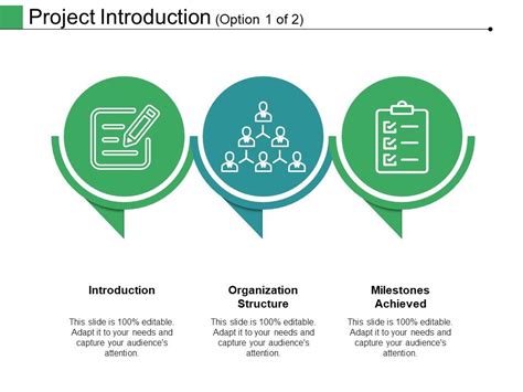 Project Introduction Template 1 Ppt PowerPoint Presentation Show Example Topics