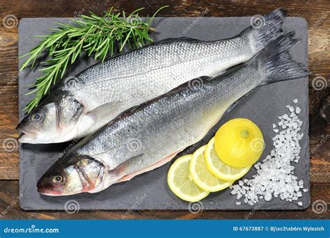 European seabass stock image. Image of edible, food, fresh - 67673887