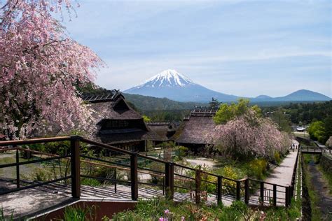 A Day Trip to Mount Fuji from Tokyo