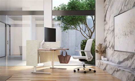 Shop the Best Ergonomic Office Tools in Boston | Boost Efficiency and ...