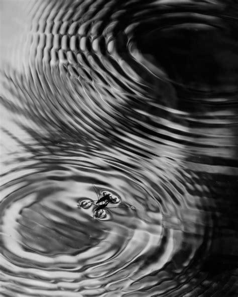 Ripple Effect | mnmfotofolio | Flickr Water Ripples, Water Art, Graphic ...