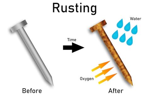 Premium Photo | Rusting of iron nail experiment diagram