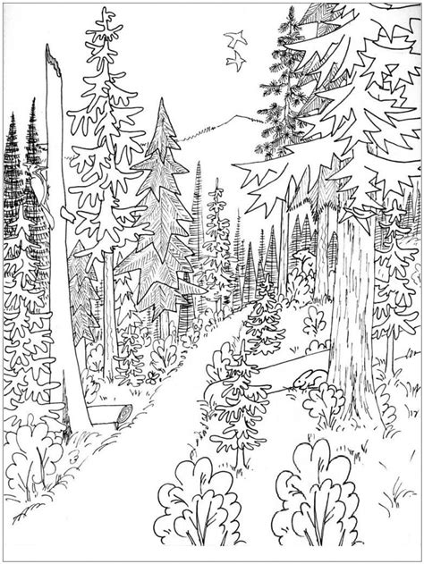 Desenhos de Floresta de Pântano para Colorir e Imprimir - ColorirOnline.Com