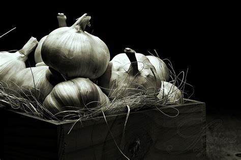 Garlic Still life photography | Still life, Still life art, Still life photography