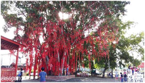 The Sekinchan Wishing Tree & Redang Beach – Eris Goes To