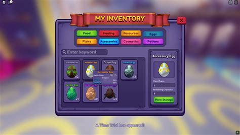 Buying the Accessory Egg in Dragon Adventures - YouTube