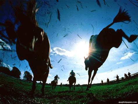 Horse Racing Wallpapers - Wallpaper Cave