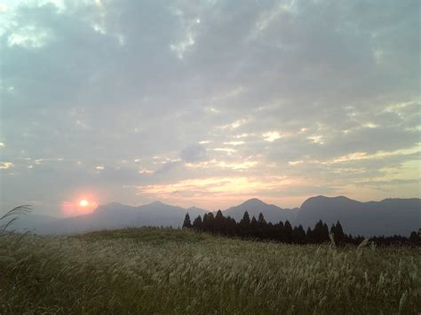 Amazing View of Silver Grass Field in Nara | KoKoRoGraphy