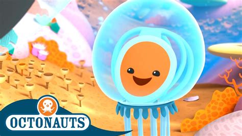 Octonauts Creature Report Jellyfish