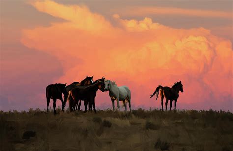 Wild Horse Sunset in Ute Country Mixed Media by Jonathan Thompson - Pixels