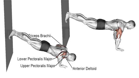 Decline Push Up: Muscles Worked, How To Do and Benefits