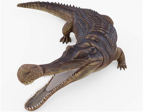 Sarcosuchus Crocodile Rigged 3D asset | CGTrader