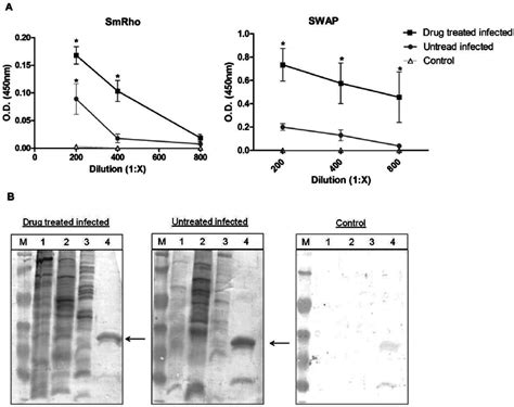 Reactivity of sera from control and S. mansoni infected patient, drug... | Download Scientific ...