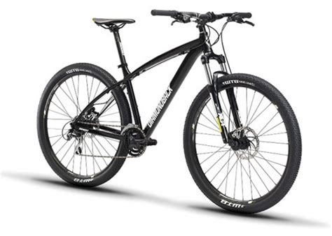 Best Mountain Bike Brands Reviews 2020 | Buying Guide