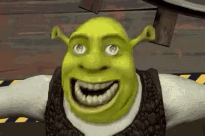 Farce the Music: Shrek Country Reaction Gifs