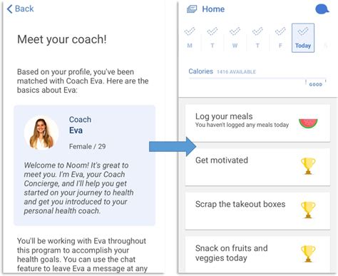 Noom Weight Loss Coach Review | Blog Dandk