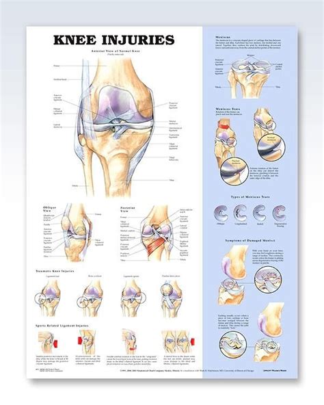 Pin en Health and fitness