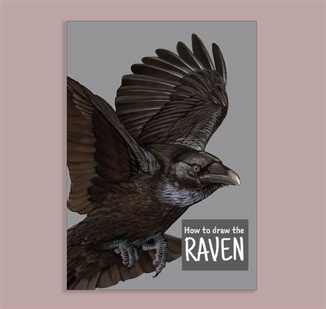 How to draw Ravens: Anatomy and wings — The art of CrowArtist