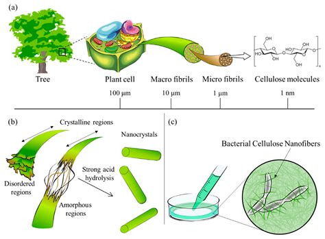 Nanomaterials | Free Full-Text | A Review of Applications Using Mixed Materials of Cellulose ...