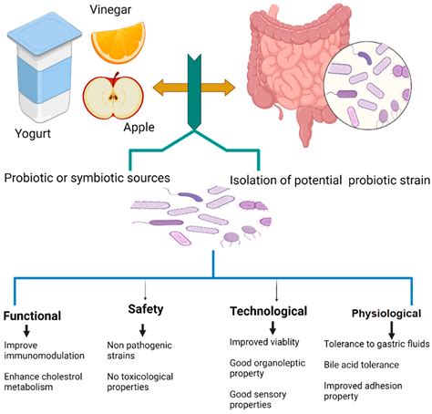 Applied Sciences | Free Full-Text | Probiotics in Functional Foods ...