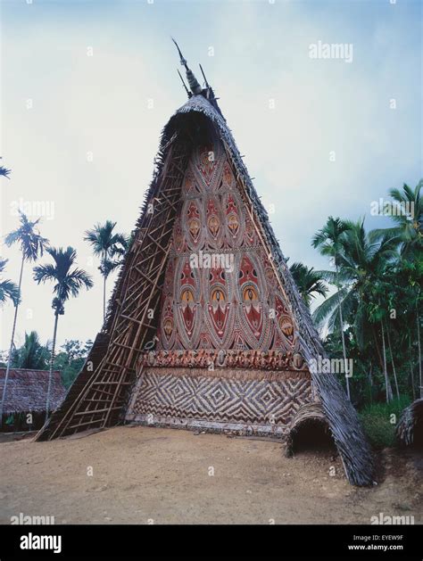 Papua New Guinea Tree House High Resolution Stock Photography and Images - Alamy