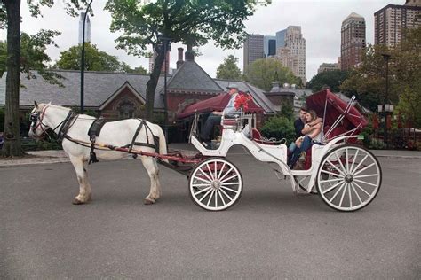 Horse-drawn carriage rides through Central Park, New York