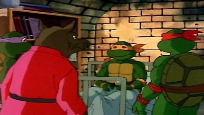 Watch Teenage Mutant Ninja Turtles (1987) Season 5 Episode 4 - Michelangelo Meets Mondo Gecko ...