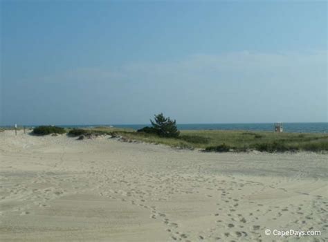 About Harwich MA Beaches: A Handy Guide for Cape Cod Vacationers!