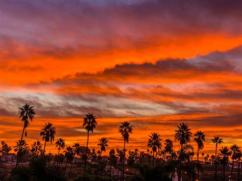 Stunning Encinitas Sunrise: San Diego County Photo Of The Day | Encinitas, CA Patch