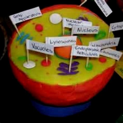 Biology projects look good!!! | Cell model project, Animal cell model project, Animal cell