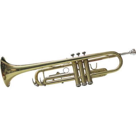 Affordable Trumpet for Sale under $200