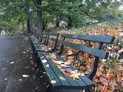 Central Park Bench Photograph by Matthew Moore - Pixels