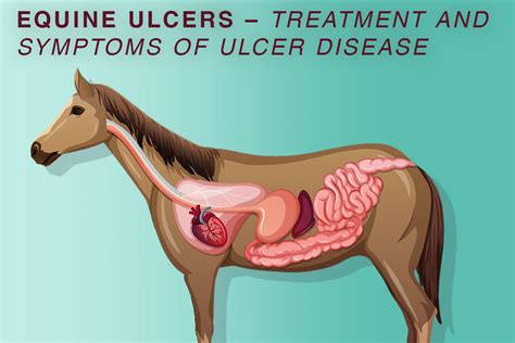 What Are The Symptoms Of A Stomach Ulcer In A Dog