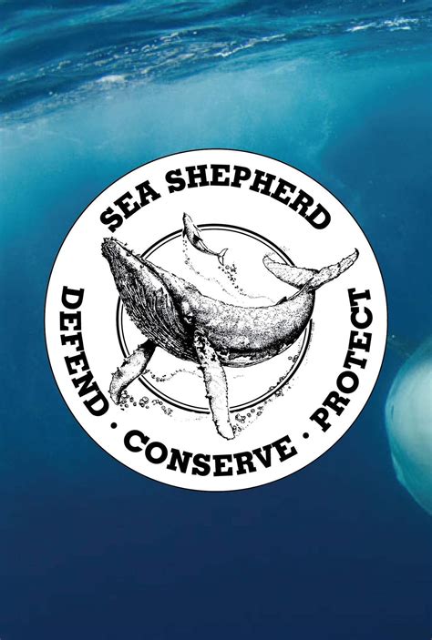 Sea Shepherd Logo Sticker Pack of 5 – Sea Shepherd New Zealand