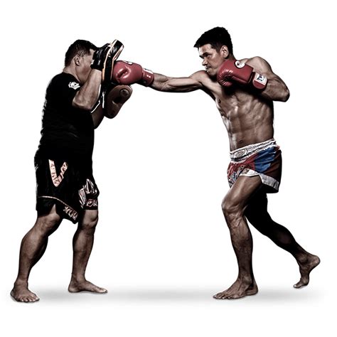 MMA Fight PNG File | PNG All