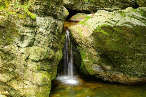 Mountain spring water stock image. Image of milling, mountain - 77315377