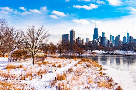 Winter is the Best Time of the Year to Prune Your Chicagoland Trees