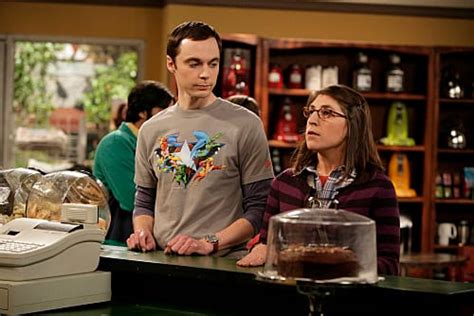 Sheldon and Amy - TV Fanatic