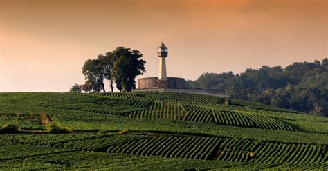 Visit the Champagne vineyards - wine tourism