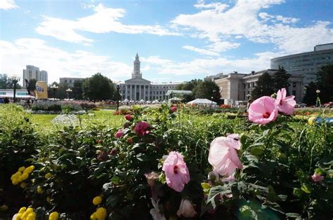 Foodie Finds: Summer Food Festivals in Denver