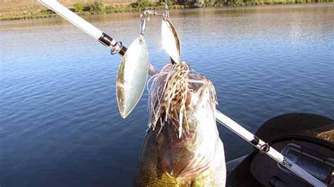 10 Spinnerbait Tips | The Ultimate Bass Fishing Resource Guide® LLC