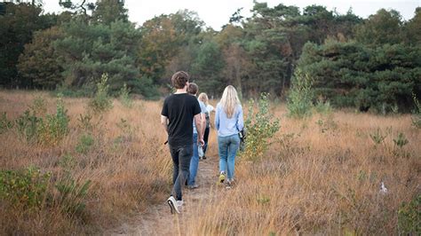 Why you should go out for an autumnal walk | Weltevree®