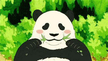 Happy Panda GIF - Find & Share on GIPHY