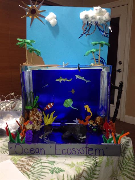 Ocean Ecosystem | Ecosystems projects, Ocean projects, Habitats projects